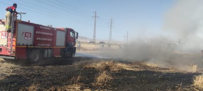 Mardin'de Bugday Ekili Arazide Yangin, 55 Dönüm Kül Oldu