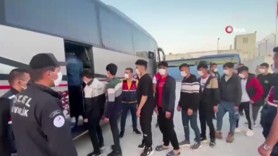 Kolluk Birimlerince Yakalanan Afganistan Uyruklu Kaçak Göçmenler Ülkelerine Gönderiliyor