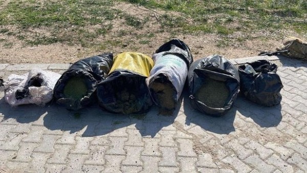Terörün kökü kuruyacak: Bir ton esrar, 2 milyon 144 bin kök kenevir ele geçirildi