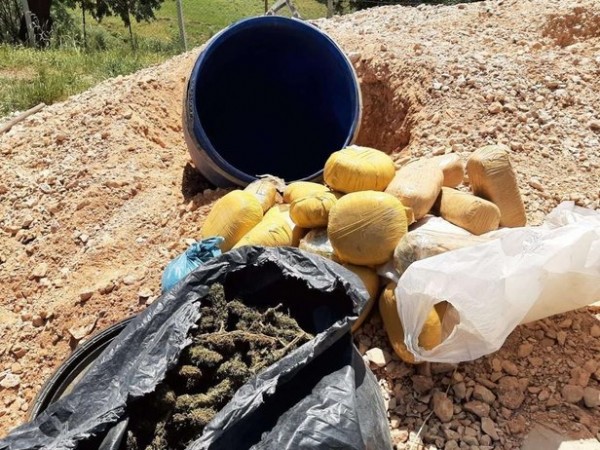 Terörün kökü kuruyacak: Bir ton esrar, 2 milyon 144 bin kök kenevir ele geçirildi