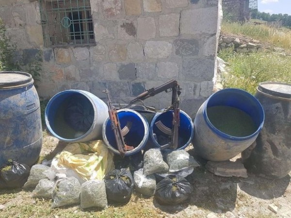 Terörün kökü kuruyacak: Bir ton esrar, 2 milyon 144 bin kök kenevir ele geçirildi