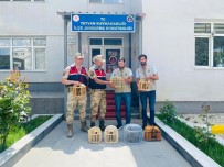 Kaçak Keklik Avlayan 2 Kisiye 15 Bin 228 TL Idari Para Cezasi