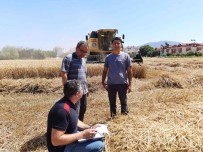 Mugla'da Biçerdöverler Denetleniyor