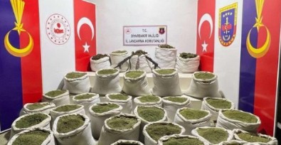 Terörün kökü kuruyacak: Bir ton esrar, 2 milyon 144 bin kök kenevir ele geçirildi