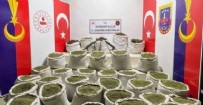 Terörün kökü kuruyacak: Bir ton esrar, 2 milyon 144 bin kök kenevir ele geçirildi