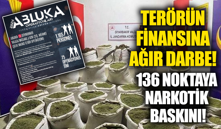 Terörün kökü kuruyacak: Bir ton esrar, 2 milyon 144 bin kök kenevir ele geçirildi