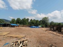 Bartin'da 56 Köpegin Telef Oldugu Ruhsatsiz Barinak Yikildi