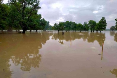 Selde 195 Bin Kanatli Hayvan Telef Oldu