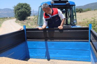 Tarim Ve Orman Il Müdürü Yoldas Müjdeyi Verdi