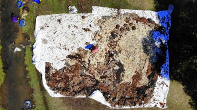 Binbir Emekle Yikayip, Saatlerce Tokaçla Dövüyorlar