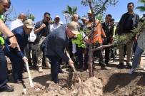 251 Kahramanin Adina 251 Zeytin Fidani Dikildi