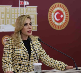 Ak Parti Mugla Milletvekili Gökcan'dan 15 Temmuz Mesaji