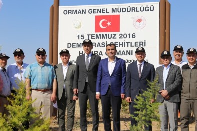 Karaman'da 15 Temmuz Demokrasi Sehitleri Hatira Ormani'na 251 Fidan Dikildi