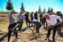 Tufanbeyli'de 15 Temmuz'da Fidanlar Toprakla Bulustu