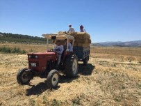 Salihli'de Hayvan Üreticilerine Kaba Yem Destegi