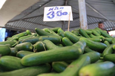 Pazar Tezgahlarinda Salatalik 3,5 TL'den Satiliyor