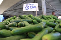 Pazar Tezgahlarinda Salatalik 3,5 TL'den Satiliyor