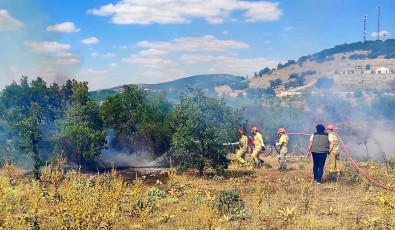 15 Dekarlik Ormanlik Alan Küle Döndü