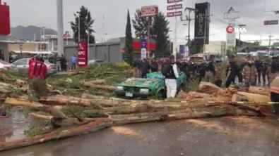 25 Metrelik Agaç Aracin Üzerine Devrildi Açiklamasi 1 Ölü, 3 Yarali