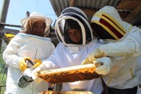 Aile Boyu Arici Oldular