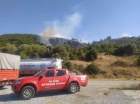 Aydin'da Orman Yangini