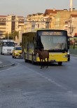 Bursa'da Basibos At Trafigi Aksatti