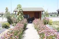 Büyüksehir'in 'Dogal Ürünler Bahçesi Pazari' Açiliyor