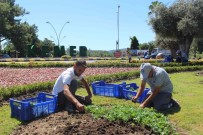 Kemer Peyzaj Çalismalariyla Renklenecek