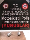 Tekirdag'da Ruhsatsiz Silah Ve Uyusturucu Operasyonu