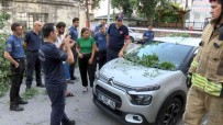 Üsküdar'da Asirlik Agaç Otomobilin Üzerine Devrildi
