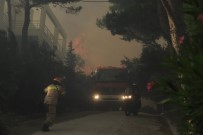 Atina'da Korkutan Orman Yangin Açiklamasi Bölge Sakinleri Tahliye Edildi