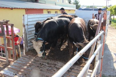 Ihtiyaçlilarin Yüzü Gülecek