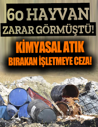 Konya'da 60 hayvanın zarar gördüğü kimyasal atık dökümüne 38,5 milyon lira ceza