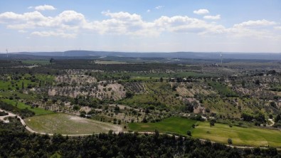 Çanakkale'de Ormanlik Alanlara Girmek Yasaklandi