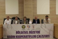 DTSO'da 15 Ilden 40 Kadin Kooperatifi  Bir Araya Geldi