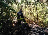 Alanya'da 1.5 Dönüm Ormanlik Alan Kül Oldu