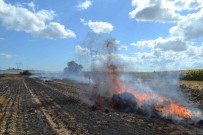 Balya Makinesinden Siçrayan Kivilcim 100 Dönüm Aniz Ile Saman Balyalarini Küle Çevirdi, Arilar Da Zarar Gördü