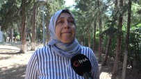 Daglica Sehidi Annesi Ayfer Göçkün; 'Yüregimiz Serinledi'