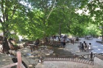 Güneydogu Anadolu Bölgesi'nde Yerli Turistler Dogal Alanlari Tercih Etti