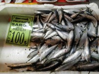 Geçtigimiz Hafta 150 Liraya Kadar Ulasan Sardalyanin Kilosu 100 Liraya Düstü