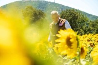 Manisa'da Rahatlatan Açiklama Açiklamasi 'Ayçiçeginde Çayir Tirtili Zararlisi Görülmedi'