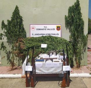 Osmaniye'de Uyusturucu Operasyonuna 1 Tutuklama