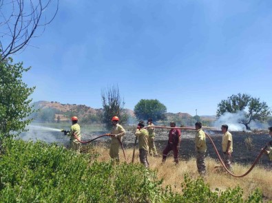 Aniz Yangini Ekili Araziye Ulasmadan Söndürüldü