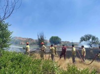 Aniz Yangini Ekili Araziye Ulasmadan Söndürüldü