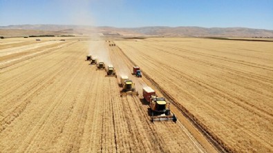 Muş'ta 3 milyar liralık dev hasat: 17 bin çiftçi aynı anda tarlalara girdi