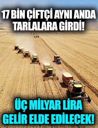 Muş'ta 3 milyar liralık dev hasat: 17 bin çiftçi aynı anda tarlalara girdi
