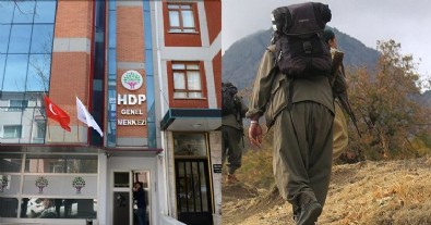 Teslim olan terörist HDP'li vekillerin PKK ile kirli bağını itiraf etti: Kandil'i mesken tutmuşlar!
