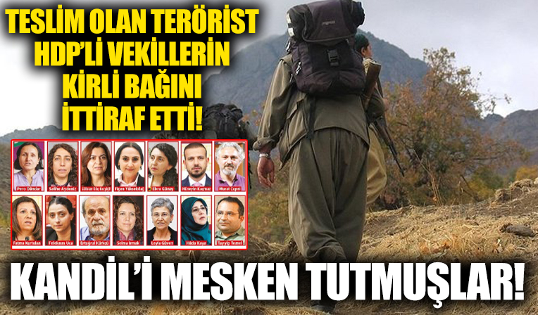Teslim olan terörist HDP'li vekillerin PKK ile kirli bağını itiraf etti: Kandil'i mesken tutmuşlar!