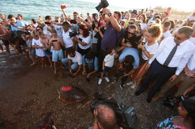 Yarali Kaplumbagaya Kibris Harekati Anisina 'Lara Baris' Ismi Verildi