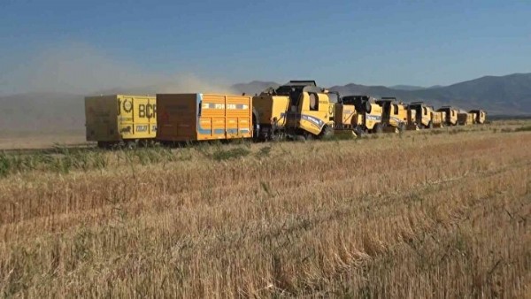 Muş'ta 3 milyar liralık dev hasat: 17 bin çiftçi aynı anda tarlalara girdi